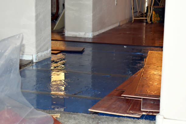 Professional Burst Pipe Cleanup technician working in Newton, IL